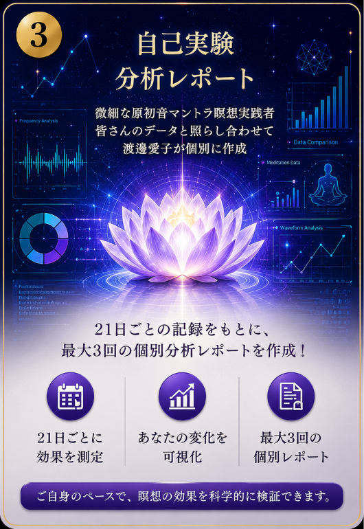 自己実験分析レポート