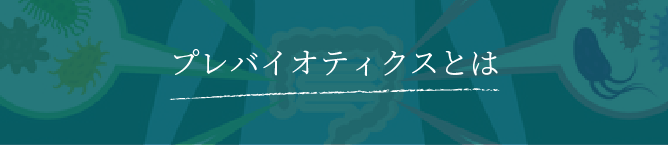 プレバイオティクスとは